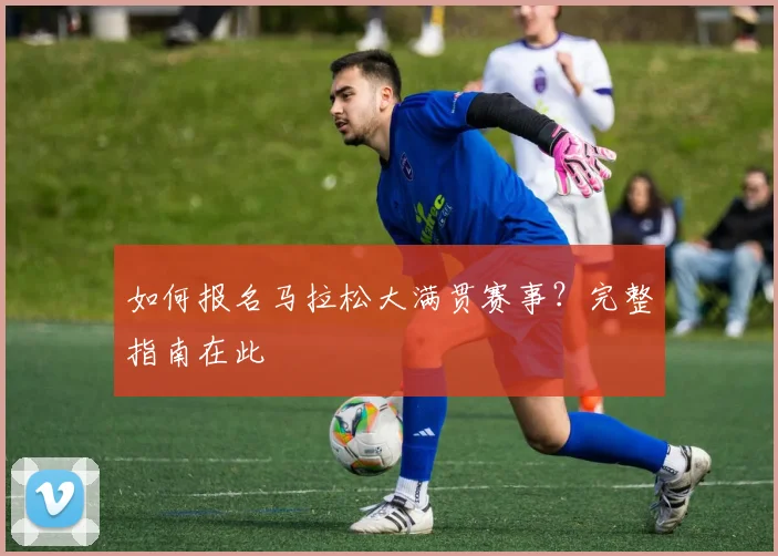 篮球明星的退役生活:转型教练、解说与商人_20260529200430